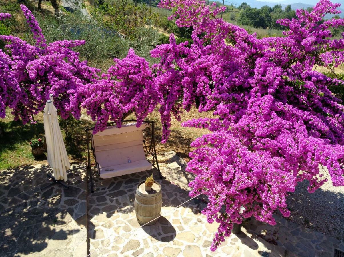 Agriturismo Il Marchese Aquara Extérieur photo